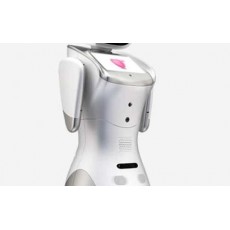 MS-ELECTRONICS三寶服務機器人