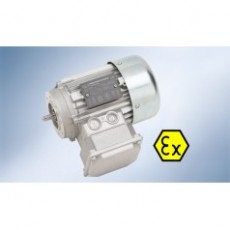 WALTHER FLENDER 電動(dòng)機(jī)ATEX式系列